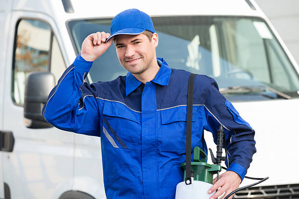 istockphoto-622277416-612x612.jpg