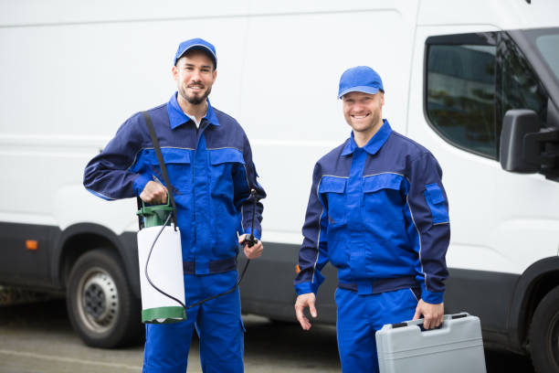 istockphoto-928085484-612x612.jpg